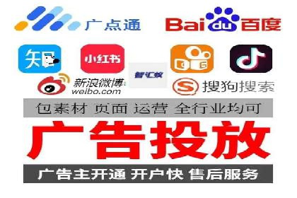 某公司通过百度竞价实现业务快速增长的案例